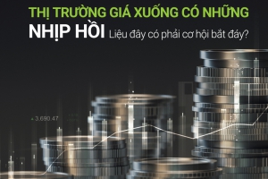 THỊ TRƯỜNG GIÁ XUỐNG CÓ NHỮNG NHỊP HỒI, LIỆU ĐÂY CÓ PHẢI LÀ CƠ HỘI BẮT ĐÁY?